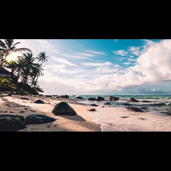 Meet your Posher, Luz - Picture 1 of 1